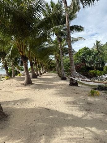Fiji – Tropisches Inselparadies mit traumhaften Stränden und Palmen. Ich habe 7 Tage Insel hopping gemacht mit (yasawa flyer)