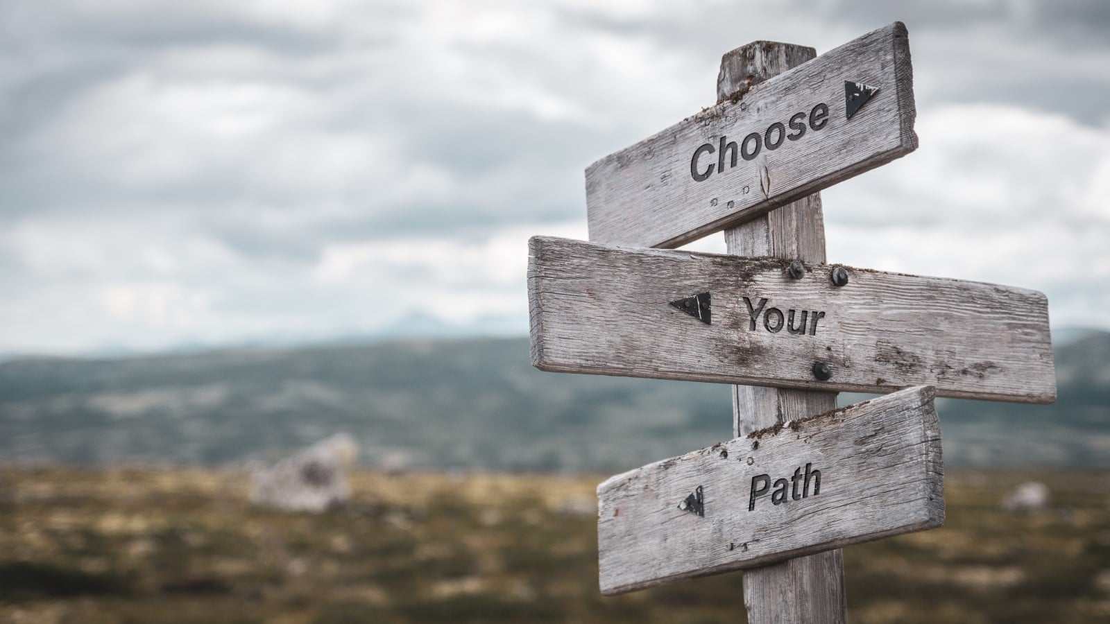 In einer einsamen Landschaft steht ein Schild, dessen Pfeile in mehrere Richtungen zeigen. Auf diesen steht geschrieben: Choose your path.