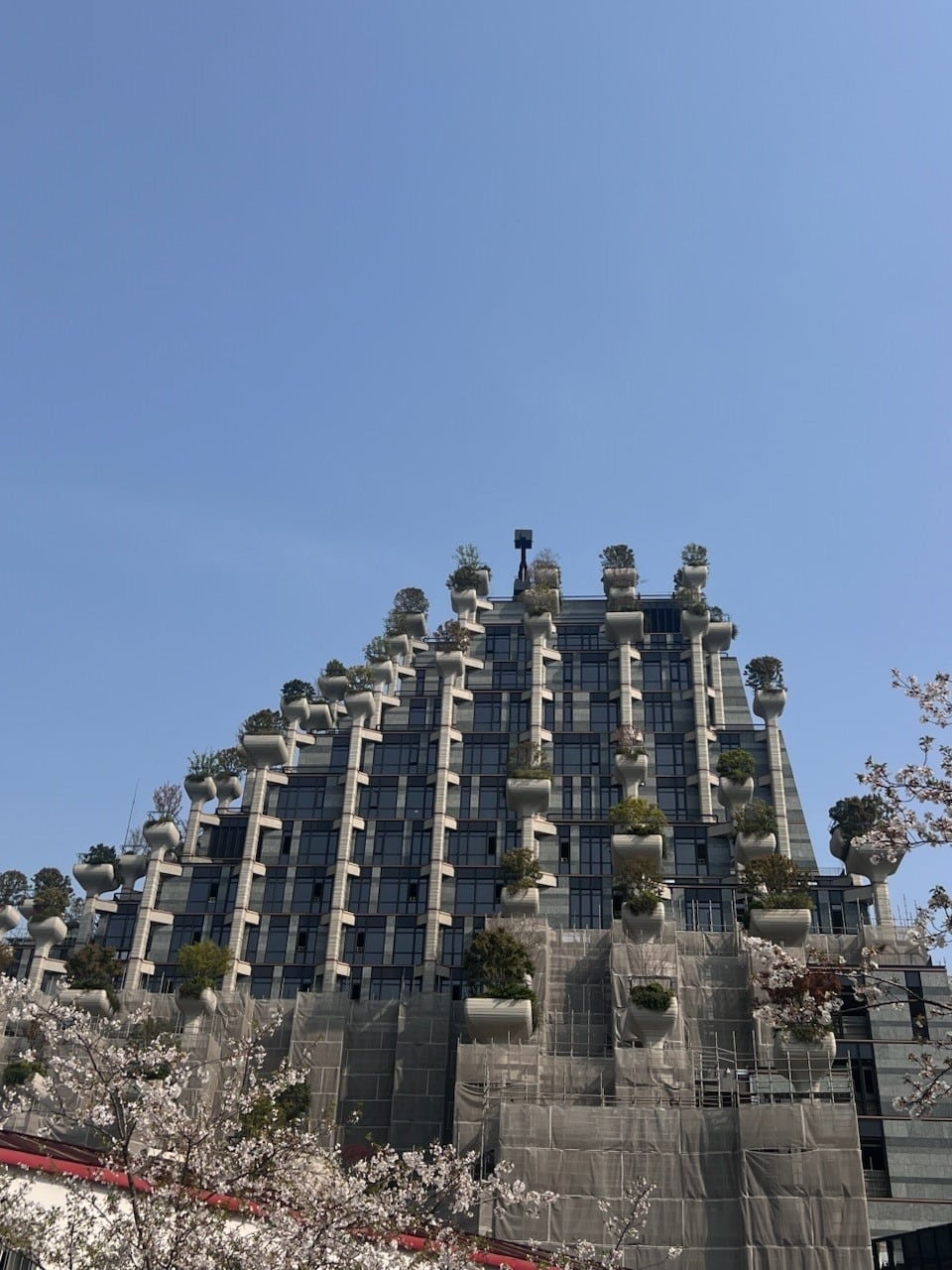 Auslandssemester Ricarda in Shanghai 05