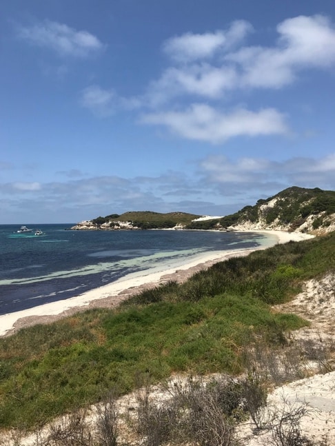 rottnest island australien