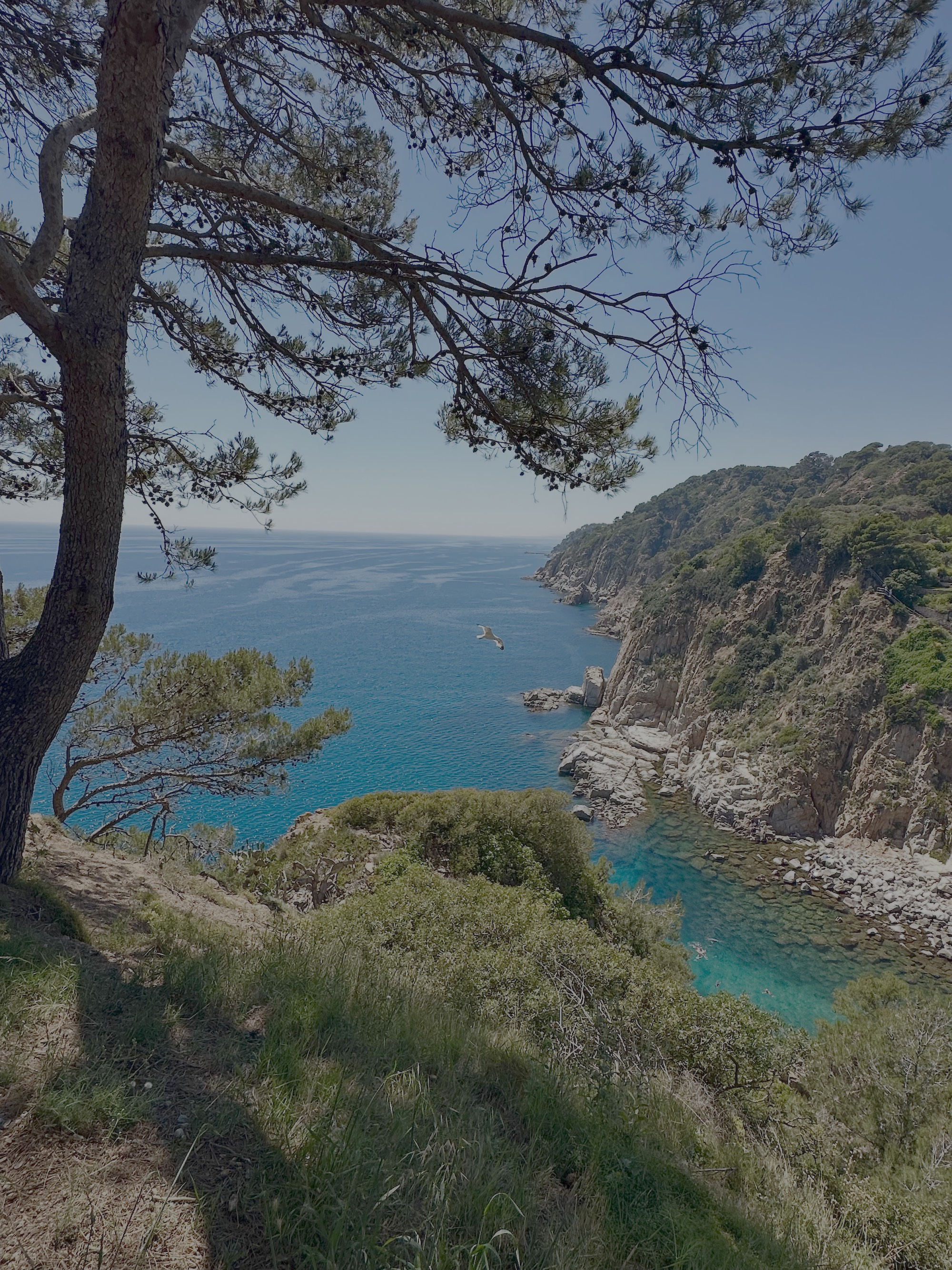Tossa de Mar