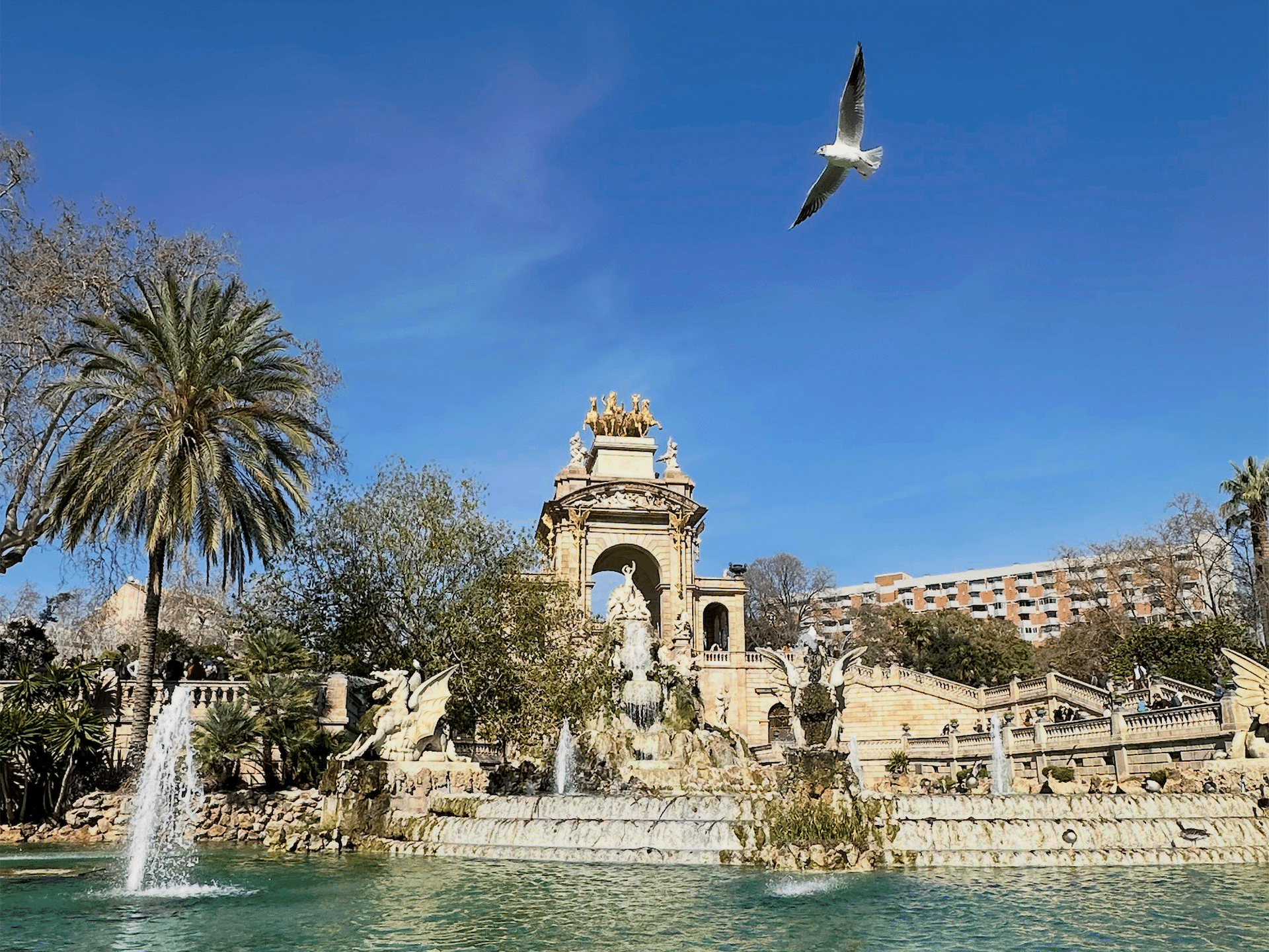 Annika war im Study-Abroad-Auslandssemester in Barcelona