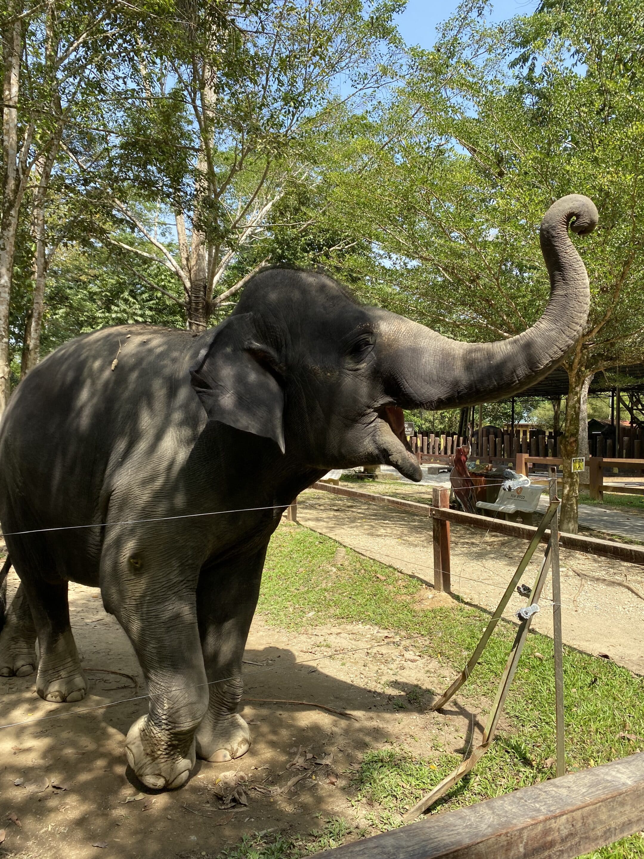 Selina beim Study Abroad-Auslandssemester in Kuala Lumpur (Malaysia) - 05