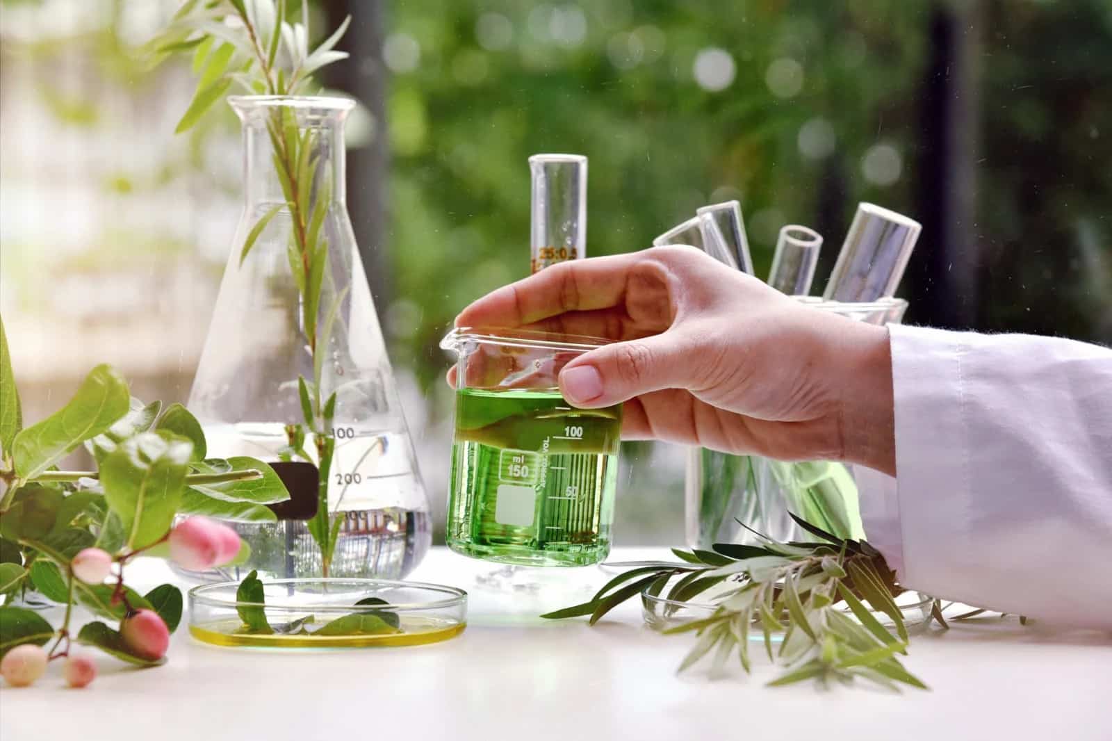 Natürliche organische und wissenschaftliche Extraktion in Glaswaren